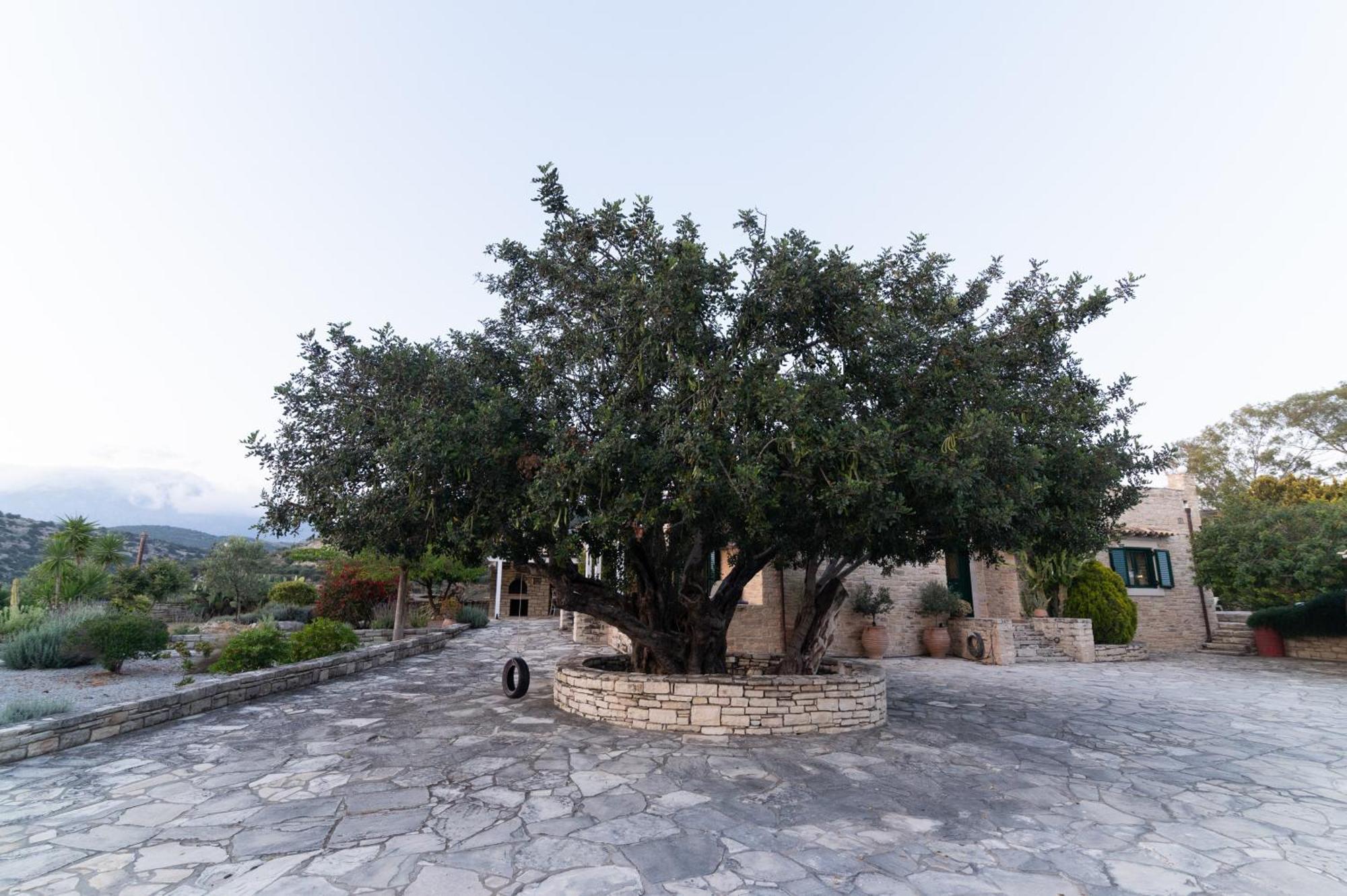 Carob Villa Moirai Экстерьер фото